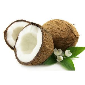 Fresh Coconut