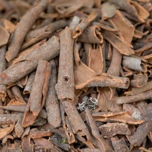 Cinnamon Stick