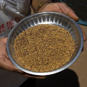 Fenugreek Seeds