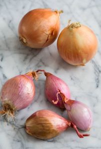 Fresh Shallot Onion