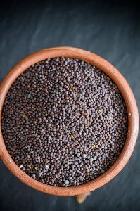 Mustard Seeds