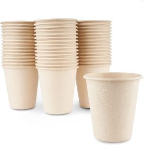 Sugarcane Bagasse Cups