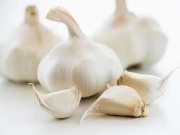 Fresh Garlic