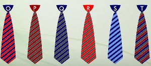 CMS School Tie