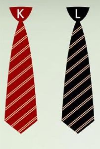 Two Colored Line School Tie