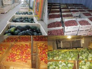 Frozen Vegetable Storage Room Fabrication Services