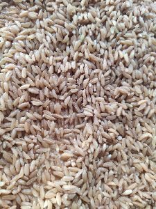 Emmer Wheat Seeds