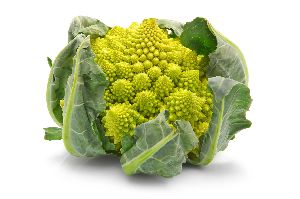 Fresh Broccoli