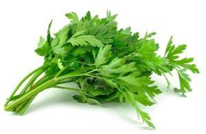 Fresh Celery Leaves