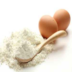 Egg Albumin Powder