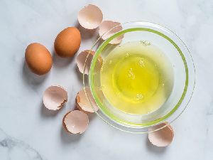 Pasteurized Egg Albumin Liquid