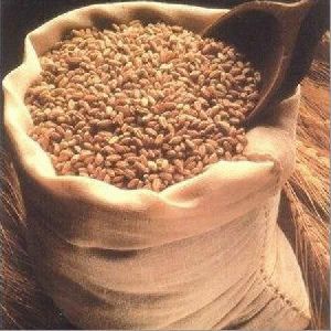 Mill Quality Wheat Grain