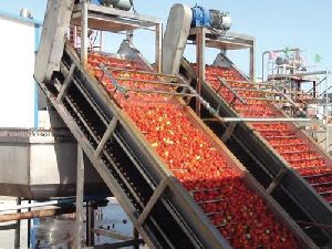 Tomato Processing Plant