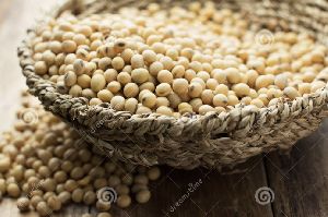 Soya Bean