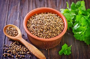 Coriander Seeds