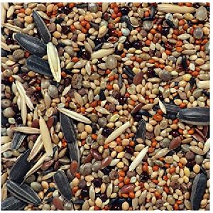 Bird Seeds Mix