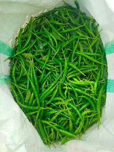 Green Chilli .