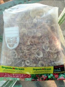 dried onion