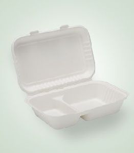 DS-HL96-2 Disposable Hinged Container