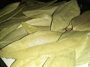 bay leaf (TajPatta)