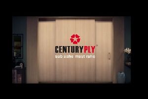 century plywood