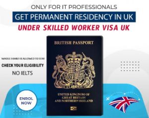 visa processing services