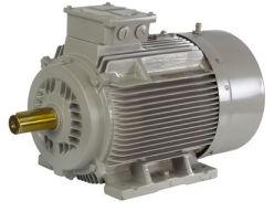 Electric Motors