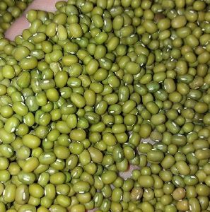 Green Mung Beans