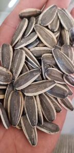 Sunflower Seeds