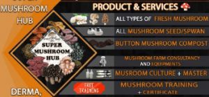 Mushroom Cultivation Training