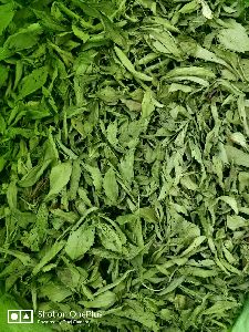 Dried Stevia Leaves