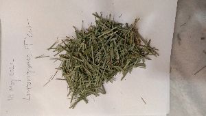 Dried lemongrass t cut