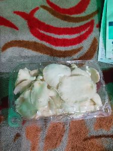 Organic Fresh Oyster Mushroom