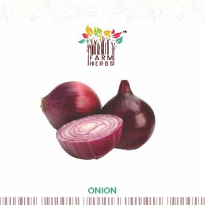 Onion