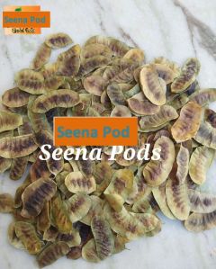 Senna Pods