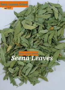 Dried Senna Leaves