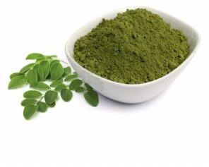 Organic Moringa Powder