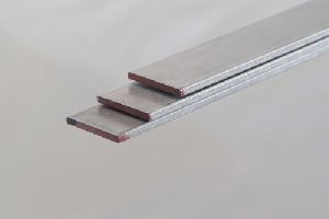 Stainless Steel Strips