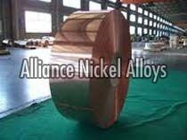 Beryllium Copper Strips