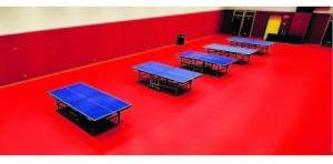 Indoor Table Tennis Sports Court Floorings