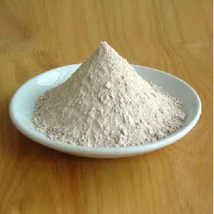 Mesalamine Powder