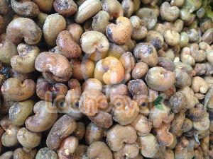 Togo Raw Cashew Nuts