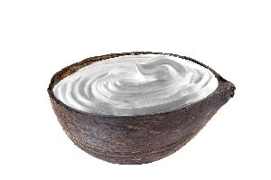 Coconut Shell Ice Cream Cup