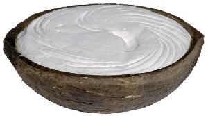 Coconut Shell Ice Cream Cup