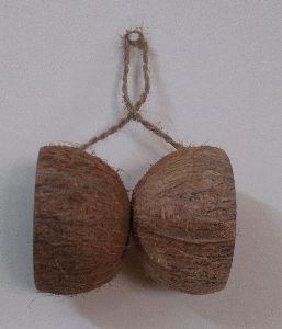 Coconut Twin Shell Bird Feeder