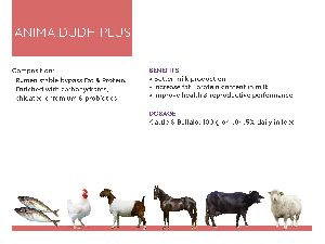 Anima Dudh Plus Cattle Feeds Supplements
