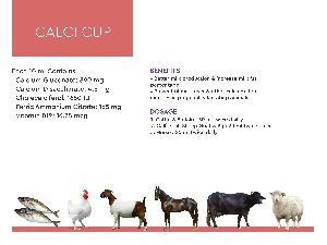 Calci Cup Cattle Feeds Supplements