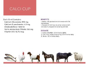 Calci Cup Cattle Feeds Supplements