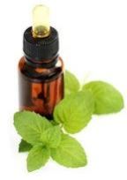 Peppermint Oil