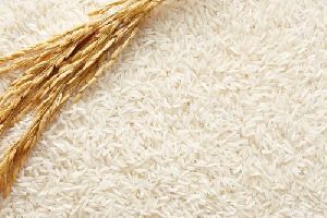 white rice